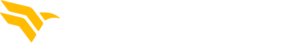 RavenTrack logo