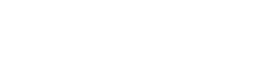ZANVIL logo