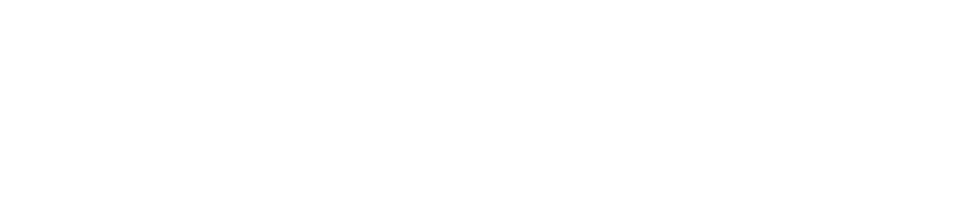 ZANVIL logo